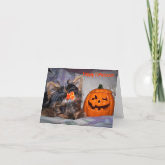 Yorkie Halloween Notecard Kort