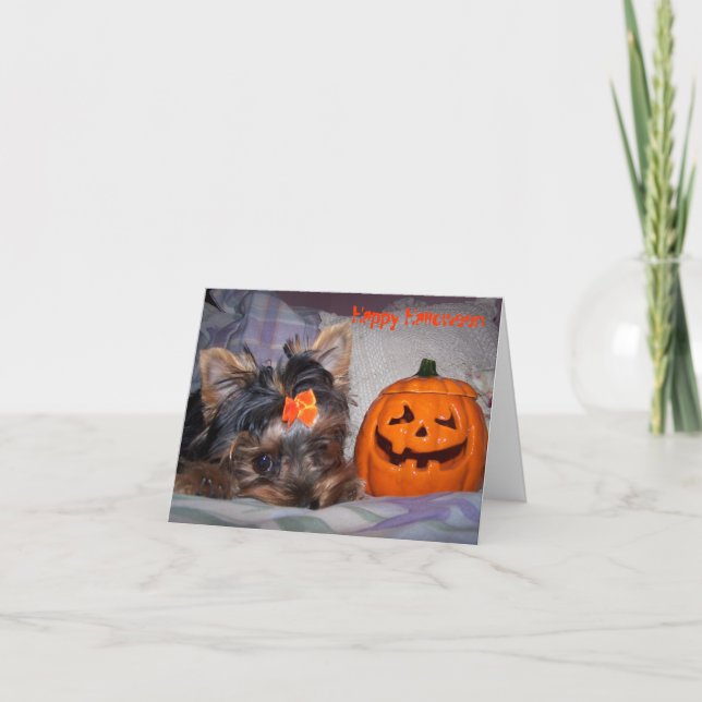 Yorkie Halloween Notecard Kort (Framsida)