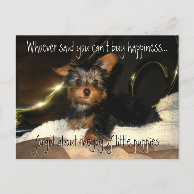 Yorkie Happity Anpassade Postcard Vykort (Framsida)