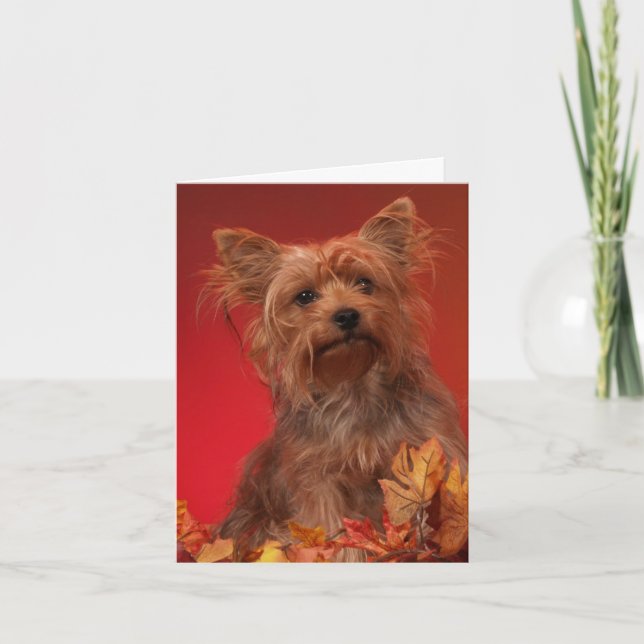 Yorkie Happy thanksgiving-kort Helgkort (Framsida)
