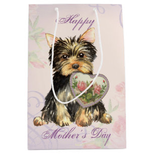 Yorkie hjärtamamma