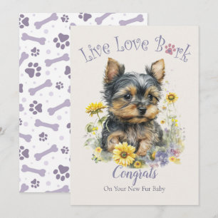 Yorkie Hund Adoption, Gotcha Day Kort