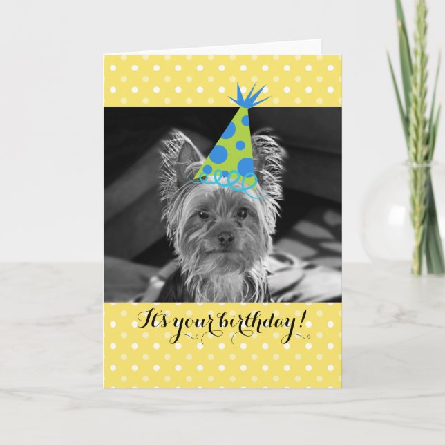 Yorkie Hund Birthday Card Kort (Framsida)