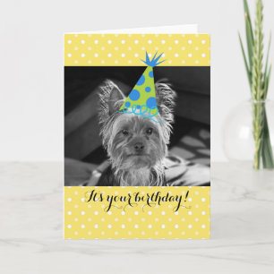 Yorkie Hund Birthday Card Kort