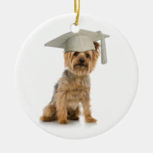 Yorkie Hund med Studenten Hat Julgransprydnad Keramik