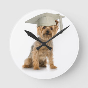 Yorkie Hund med Studenten Hat Rund Klocka