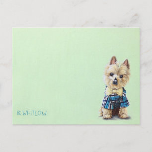 Yorkie Hund vykort