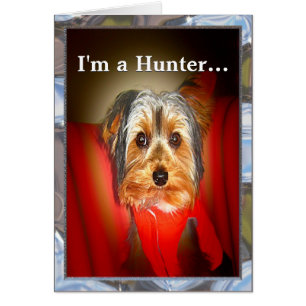 Yorkie Hunter Anpassade Hälsningskort