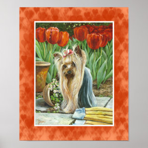 Yorkie i Kanvastrycket Tulip Garden Poster