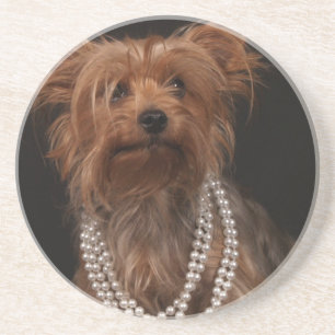 Yorkie i pärlemorfärg halsband underlägg sandsten