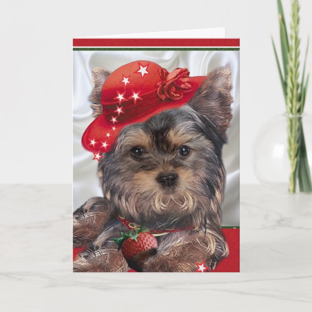 Yorkie i röda hattkort kort (Framsida)