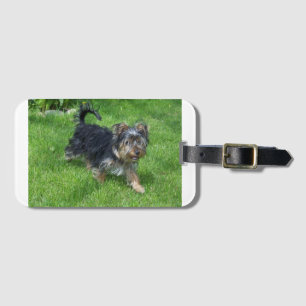 Yorkie i rörelse bagagebricka