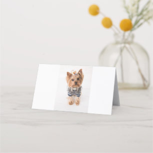 Yorkie-in-sötare Placeringskort