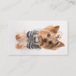 Yorkie-in-sötare Visitkort