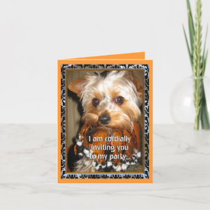 `-Yorkie innerlig inbjudan för Halloween