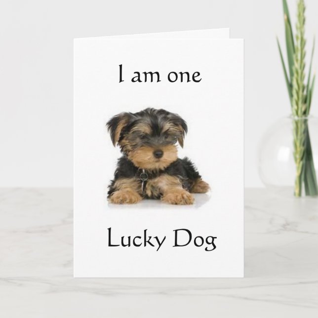 "YORKIE IS ONE LUCKY HUND" BIRTHDAY ÖNSKEMÅL KORT (Framsida)