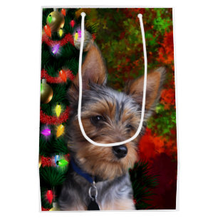 Yorkie jul