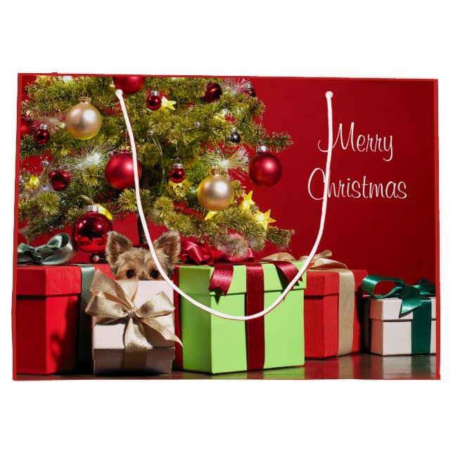 Yorkie-jul (Baksidan)