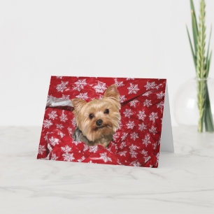 Yorkie jul helgkort