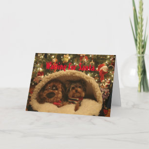 Yorkie jul helgkort