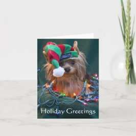 Yorkie julkort helgkort