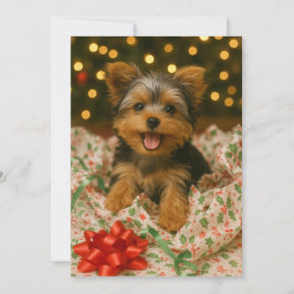 Yorkie julkort inbjudningar