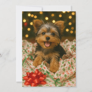 Yorkie julkort inbjudningar