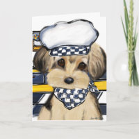 Yorkie Kock