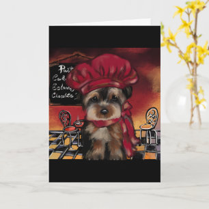 Yorkie Kock Kort