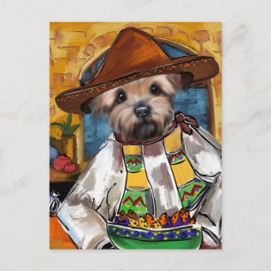 Yorkie Kock Vykort