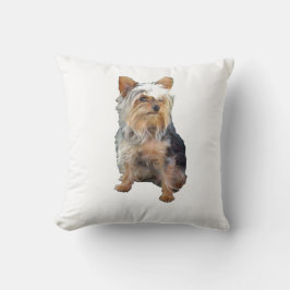 Yorkie kudder kudde