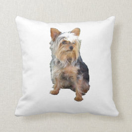 Yorkie kudder kudde