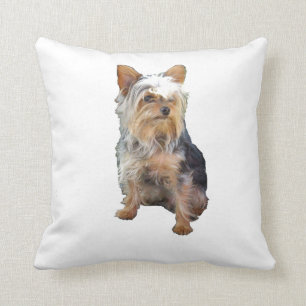 Yorkie kudder kudde