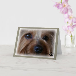 Yorkie Ledsen Öga Kort