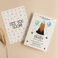 Yorkie Lets Pawty Hund Puppy Birthday Blue