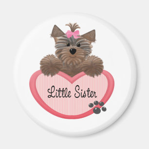 Yorkie lite syster magnet