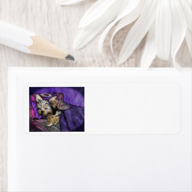 Yorkie Loss-minnen Returadressetikett Returadress Etikett (Insitu)