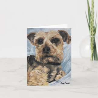Yorkie - Luther Kort