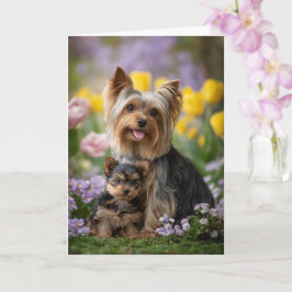 Yorkie Mamma Mors Dag Kärlek Kort