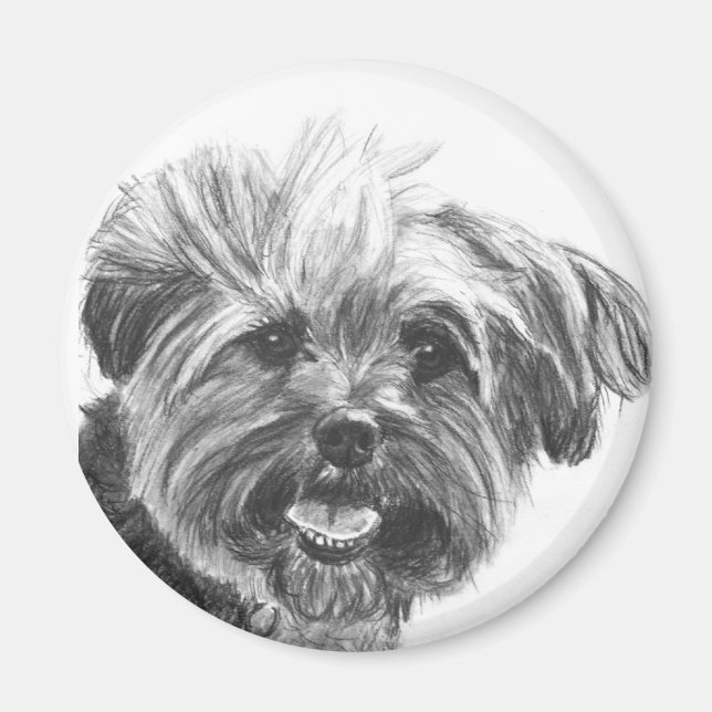 Yorkie Mix Charcol Teckning Magnet (Framsidan)