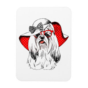 Yorkie modefor magnet