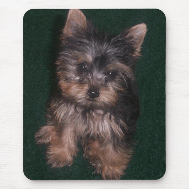 Yorkie Mousepad Musmatta (Framsidan)