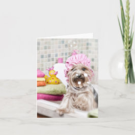 Yorkie noterar kortet kort