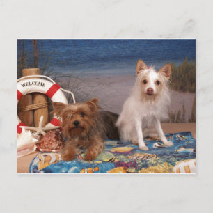 Yorkie och Friends Beach Time Vykort