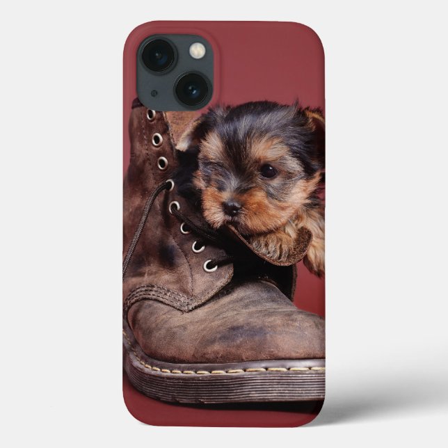 Yorkie och känga (Baksida)