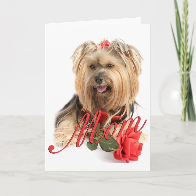 Yorkie och röd ros (MAMMAN) Kort (Framsida)