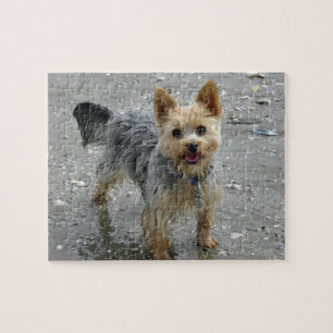 Yorkie på stranden pussel