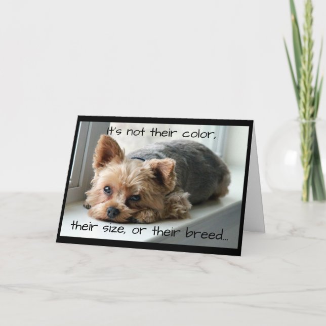 Yorkie på sympati för fönsterSillhusdjur Kort (Framsida)