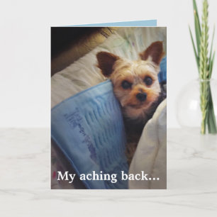 Yorkie på uppvärmning vadderar anpassade tack kort