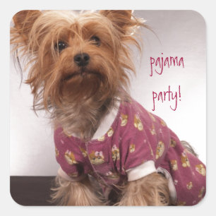 Yorkie Pajama Party Fyrkantigt Klistermärke